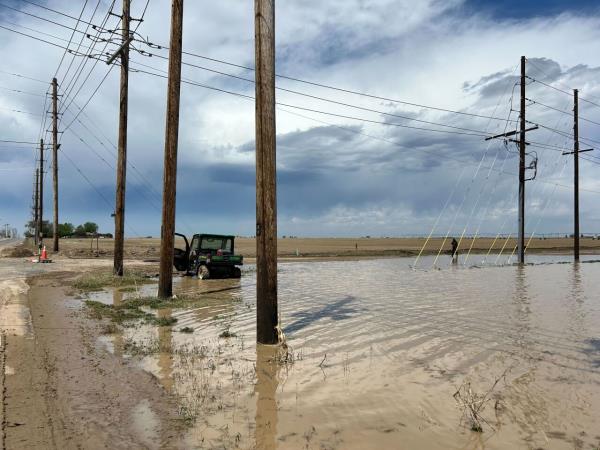 Flooded carrot field around Greeley after May 28 2024 storm